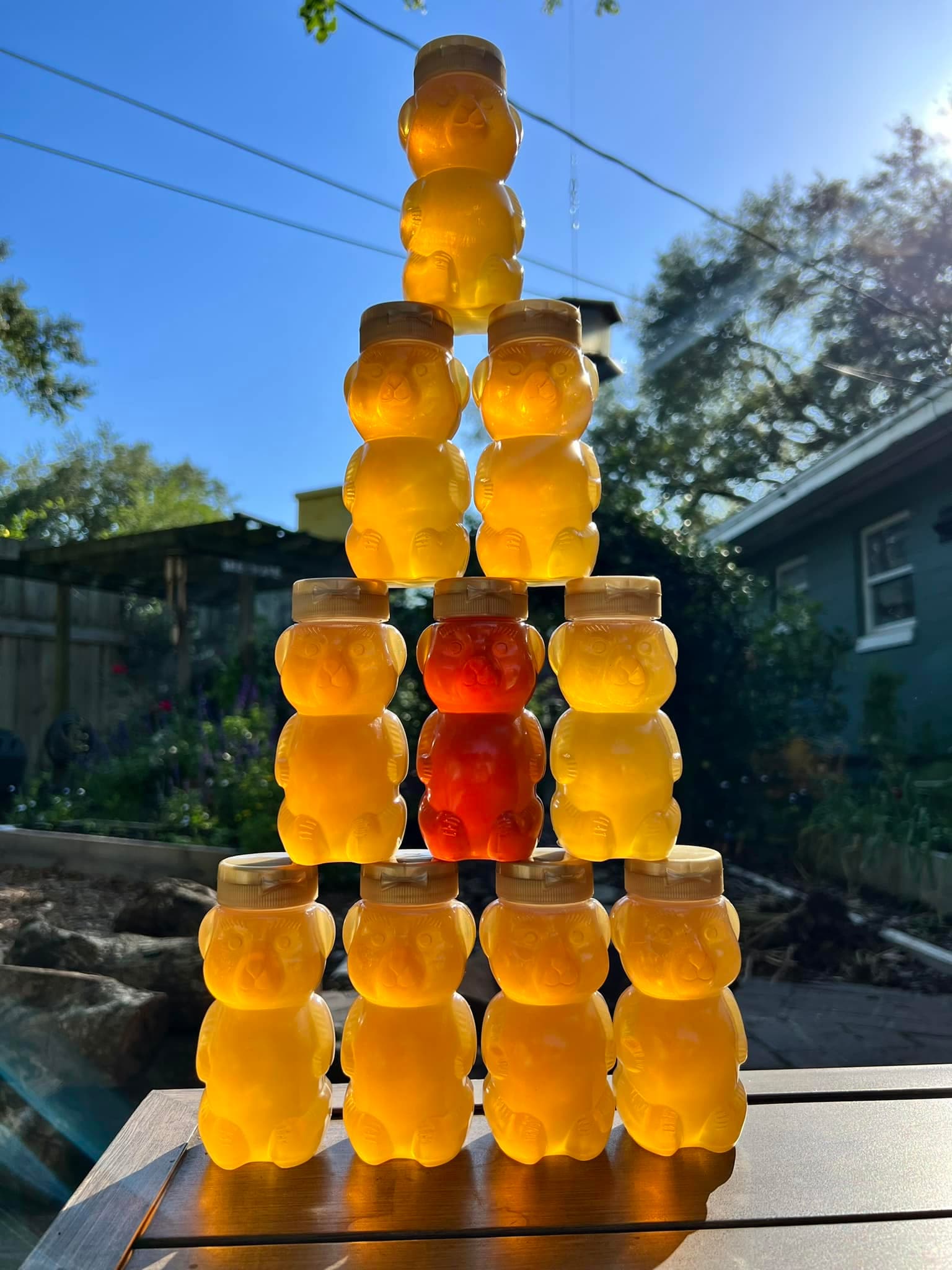 Local Honey Products