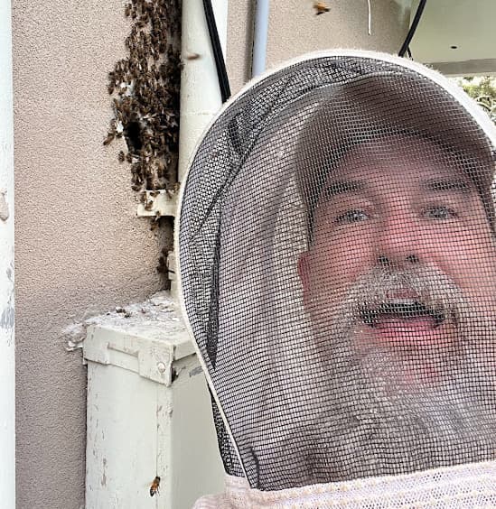 Beekeeper assessing bee colony location