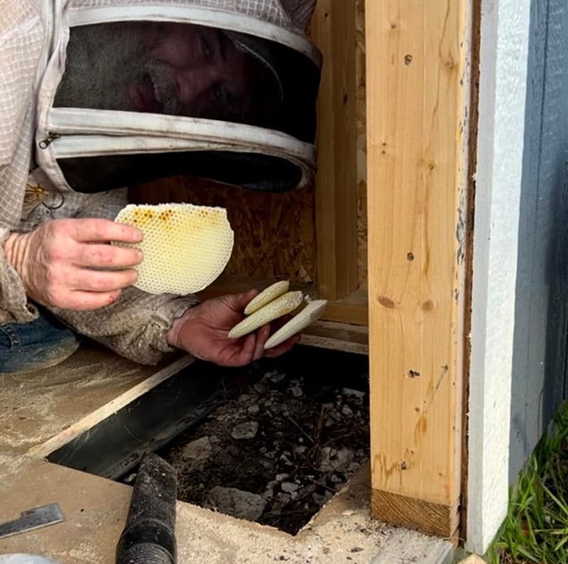 Clearing a beehive