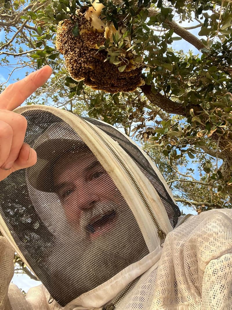 James Caperton performing a humane honeybee removal