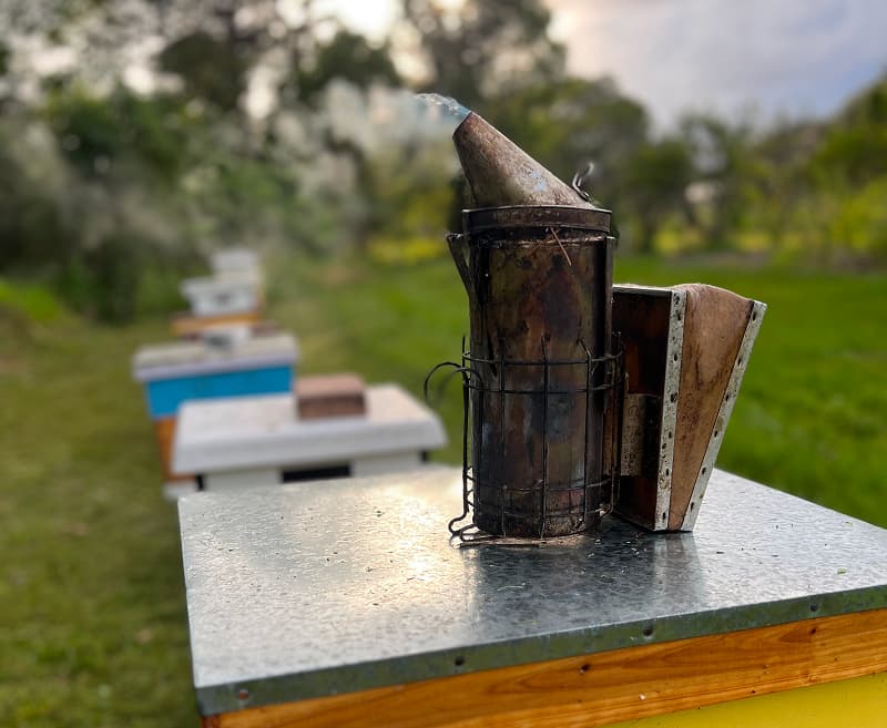 Bee Smoker