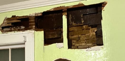 Cleanup & Repair