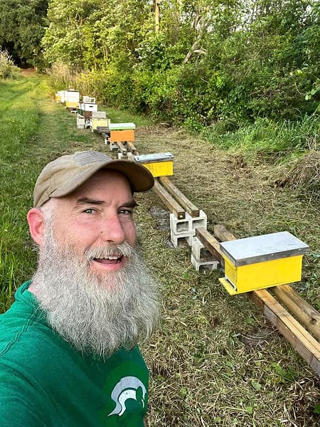 Checking on relocated bee colony