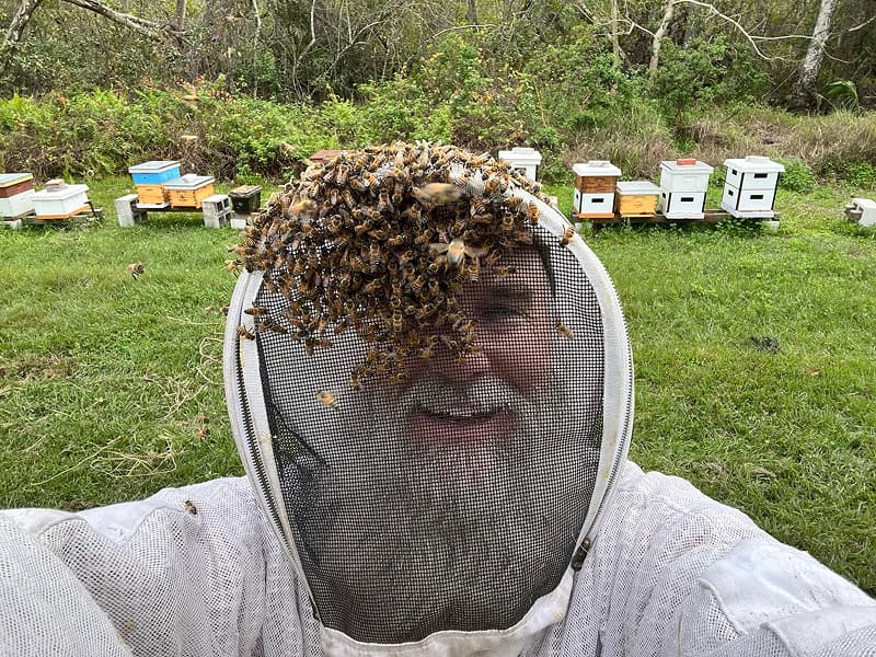 James performing bee removal