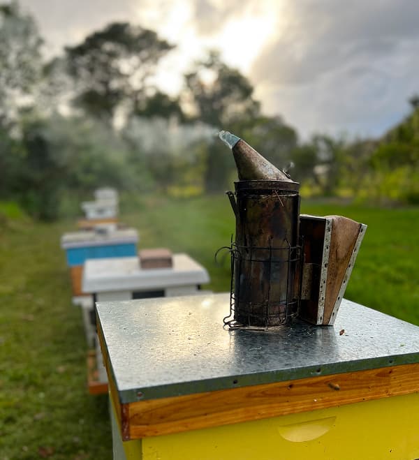 Setting up equipment for bee hive relocation