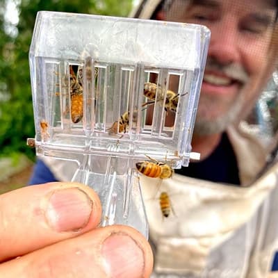 Queen Rearing Workshop