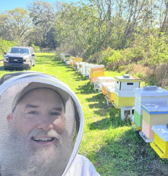 Thriving relocated bee hive in apiary