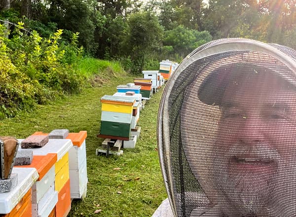 Beekeeper relocating bees to new hive