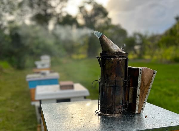 Removing honeycomb from wall cavity